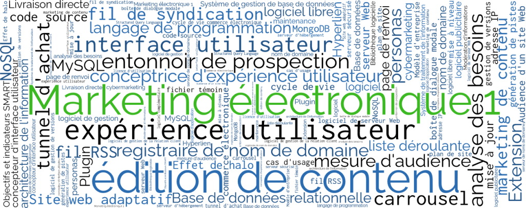 Marketing électronique 1